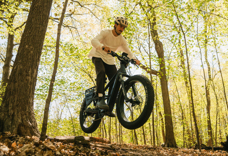 Meet the Gneiss Reverse Arch Fork