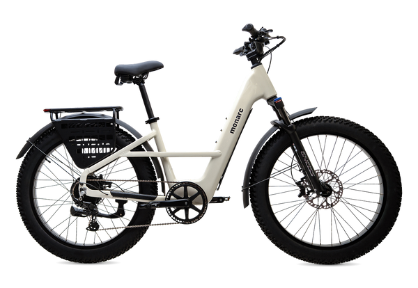 Marker Step-Thru Birchwood Ebike