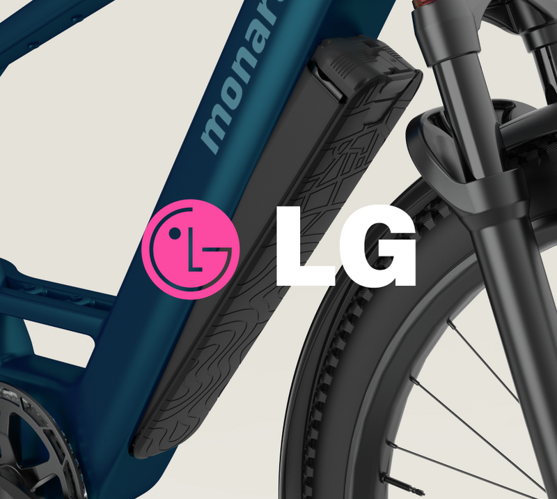 Two Safety-Certified LG-Cell Batteries