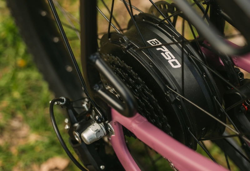 Tracer Step-Thru Juneberry Ebike