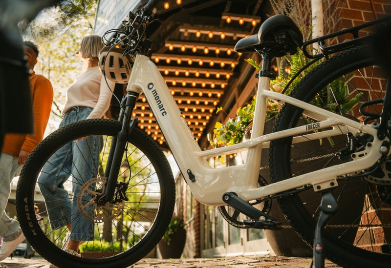 Tracer Step-Thru Birchwood Ebike
