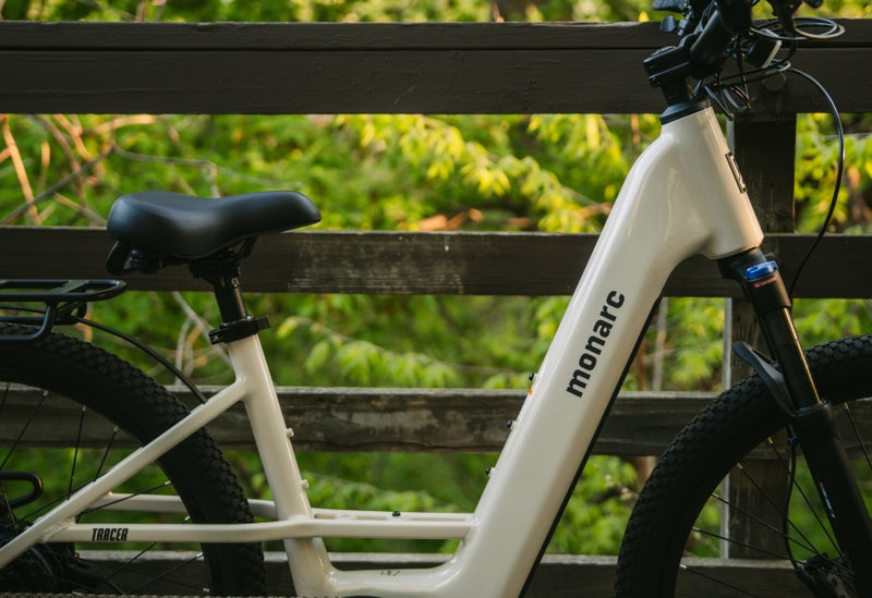 Tracer Step-Thru Birchwood Ebike