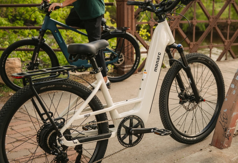 Tracer Step-Thru Birchwood Ebike